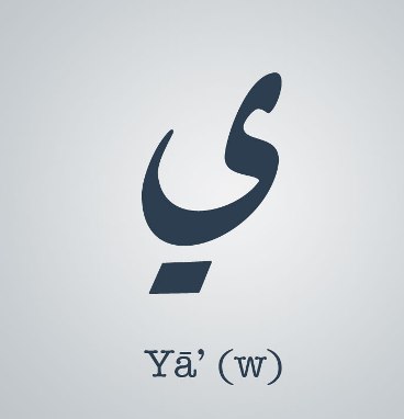 ياء
