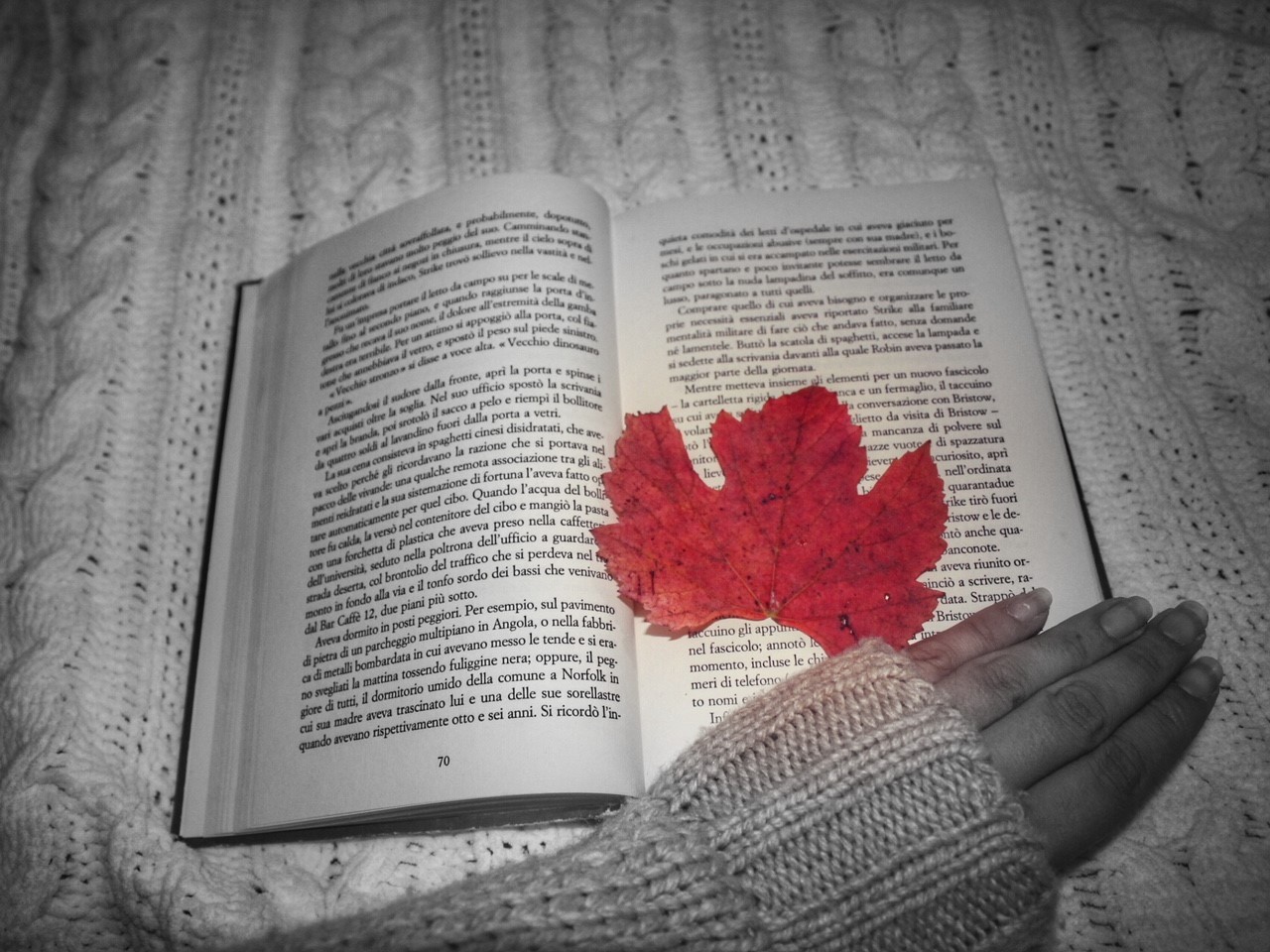 36882234994_98d4f9df90_o-001